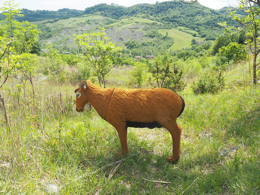 campo 3D